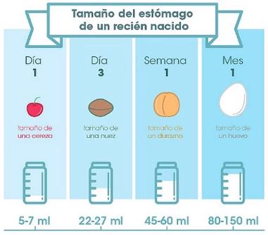 Ru Mono usuario Cuánta fórmula de leche debe tomar un bebé según su edad - Bebes y Madres